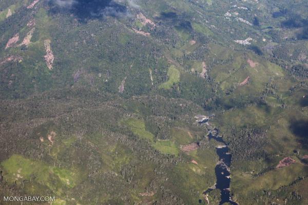 Fire at WCS Makira Natural Park office&hellip;