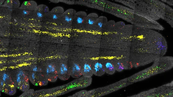 Scientists just found the “master…