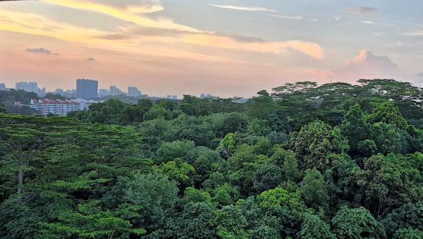 Looming loss of Singapore’s Maju&hellip;
