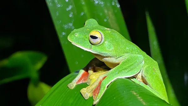 photo of Scientists just found a surprising twist in Earth’s extinction story image