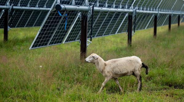 Trump Must Absolutely Love Solar Panels,&hellip;