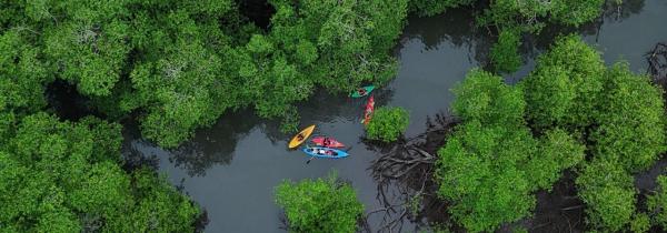 Panama NGOs face lawsuits, asset&hellip;