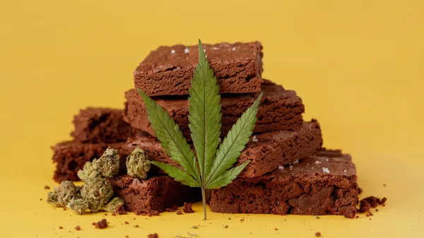 Cannabis use may quadruple diabetes risk