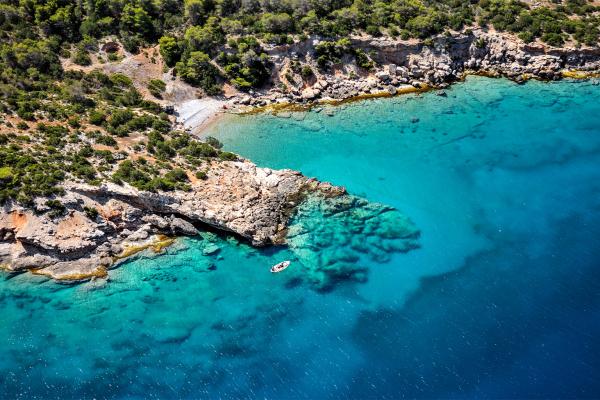 The unsung biodiversity of the Mediterranean Sea needs…