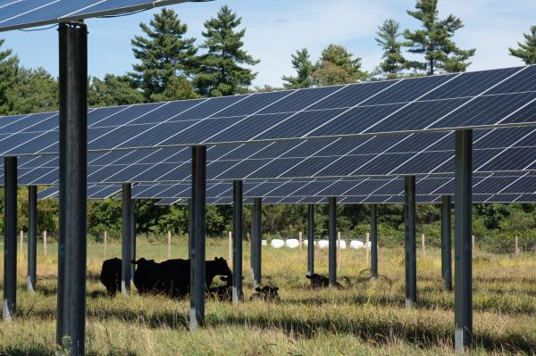 States rush to support clean energy as…