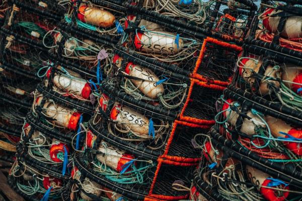 ‘Myopic’ fisheries managers toy with…