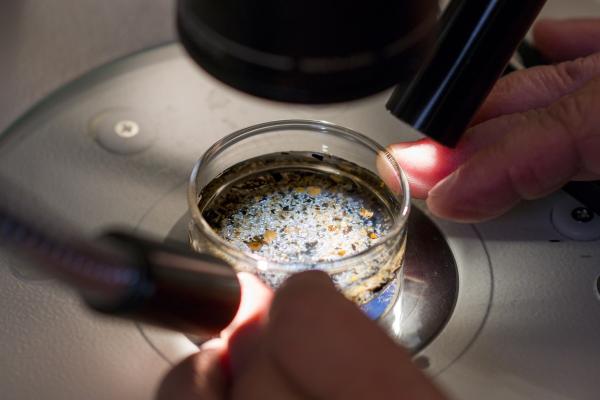 Scientists Find Microplastics in Ovarian Follicular Fluid for the First Time