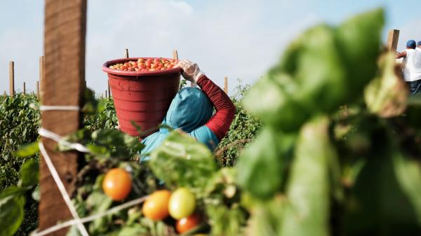 Farmworkers face harsh conditions. Now…