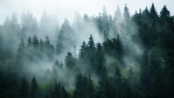 A hidden pollutant is changing how the&hellip;