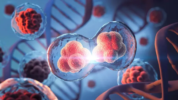 photo of MIT scientists discover hidden 3D genome loops that survive cell division image