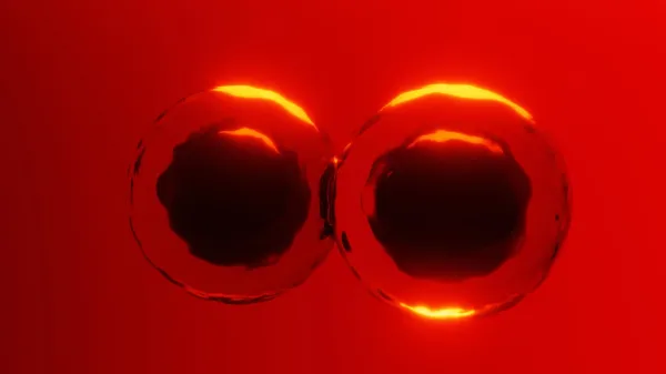 photo of Textbooks challenged by new discovery about how cells divide image