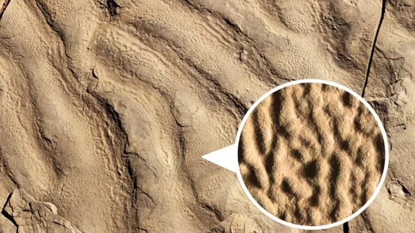 Strange “elephant skin” rocks reveal&hellip;