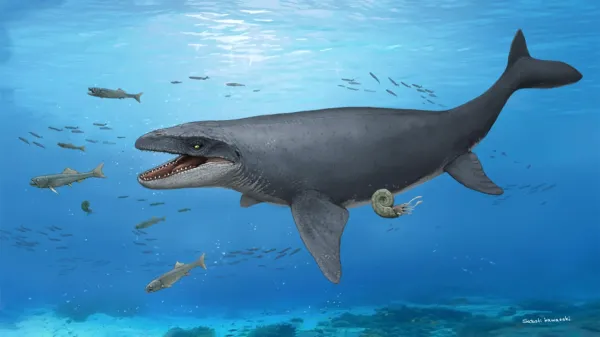 A 30-year-old fossil was hiding bones…
