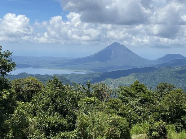 Tropical mountain wildlife are at high&hellip;