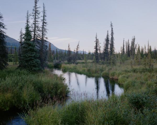 How ‘national security’ became the new justification for&hellip;