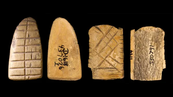 photo of Ancient bone dice reveal 12,000-year history of gambling in America image