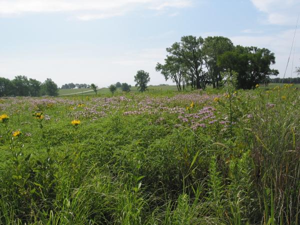 The Great Plains face a surprising&hellip;