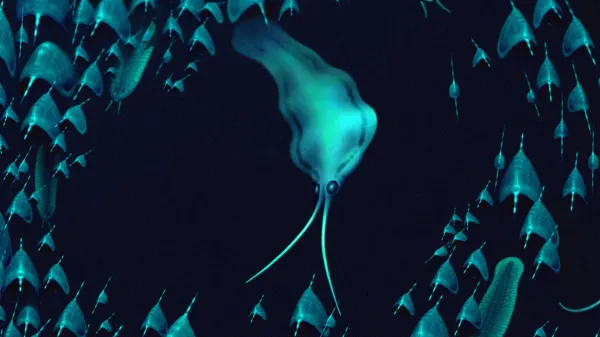 500-million-year-old “squid” were…