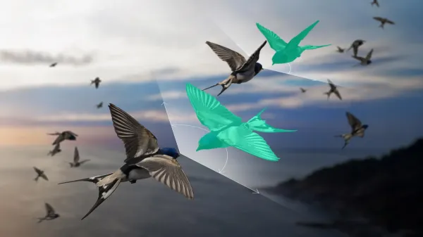 photo of Scientists found a way to explain bird flocks that “defy” Newton’s third law image