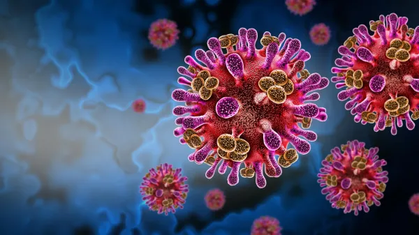 photo of A hidden bat virus is infecting humans image