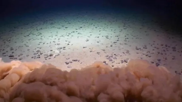 Deep-sea mining starves life in the…