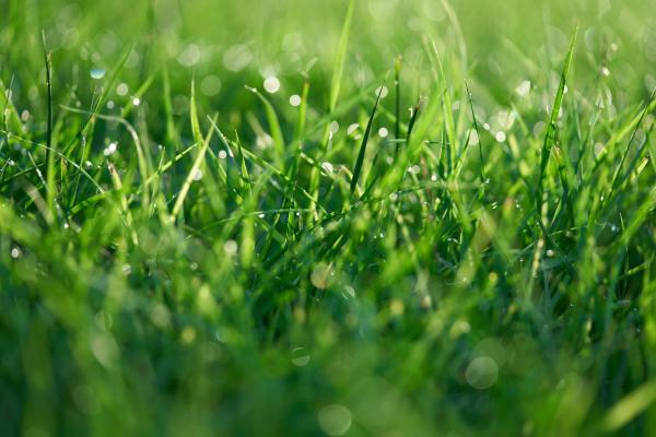 Green, Clean, & Quiet: 4 Must-Have…