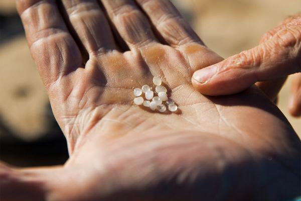 Oil and plastic pollution from shipwreck…
