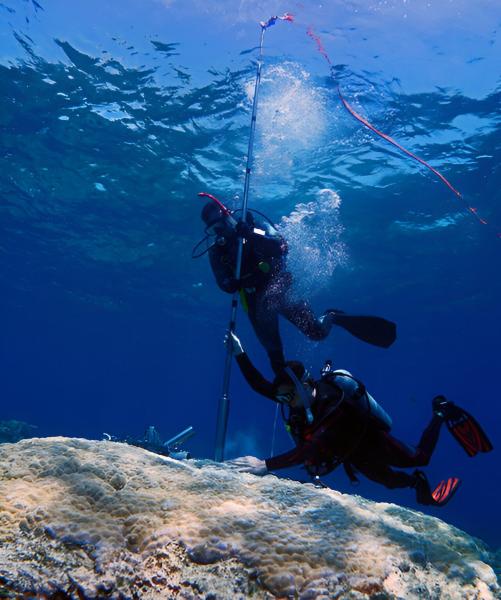 photo of Warmest Sea Surface Temperatures in 400 Years Present ‘Existential Threat’ to Great Barrier Reef, Study Finds image