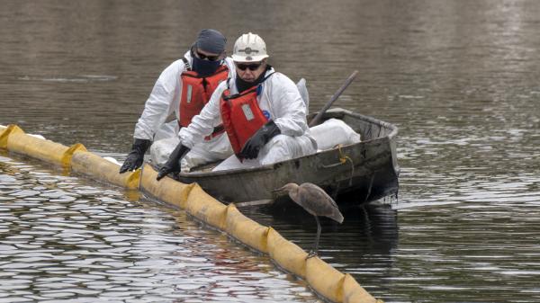 New Analysis Warns Trump Offshore&hellip;