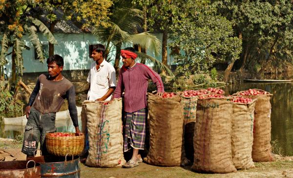 Jute loses ground to plastic despite&hellip;