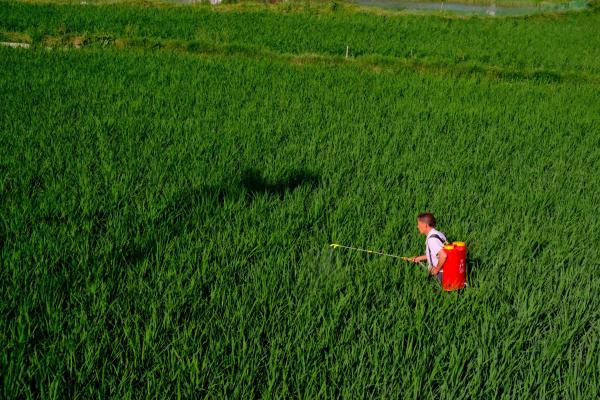 Another PFAS-containing pesticide headed…