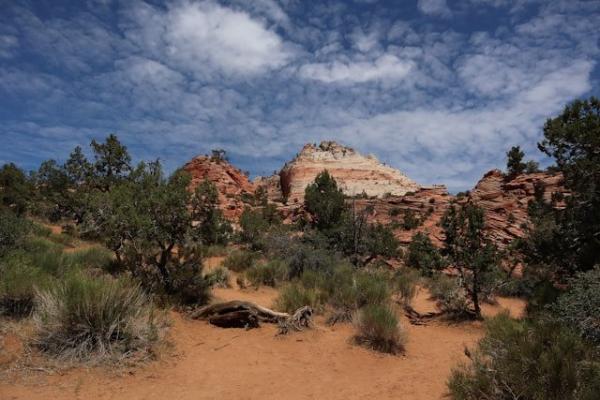photo of Former Interior official warns of public land rollbacks and launches advocacy group image