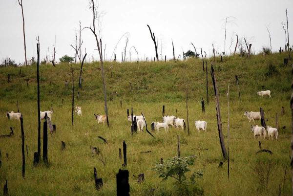 Climate-warming methane emissions from…