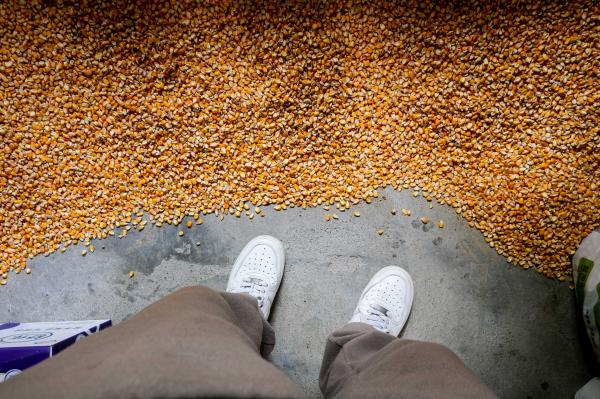 Webinar: New science on neonicotinoids:&hellip;