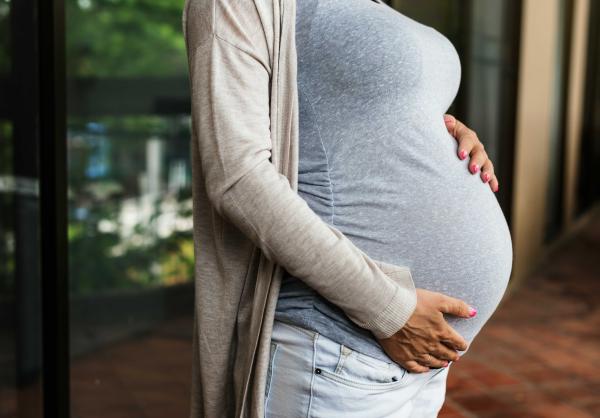 Dozens of chemicals found in pregnant&hellip;