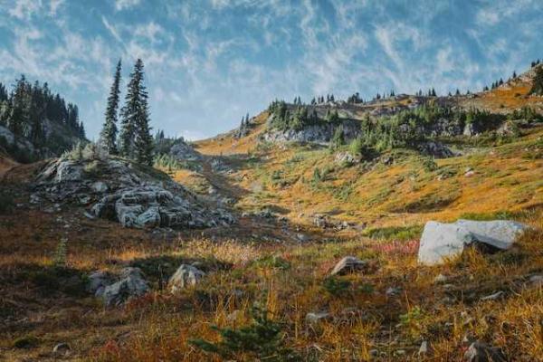 Feds to open tens of thousands of acres…