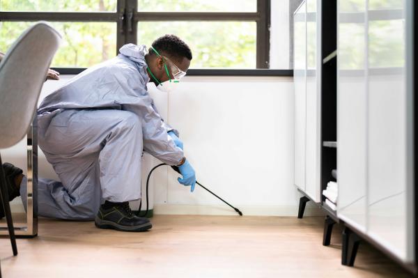U.S. children have widespread pesticide…