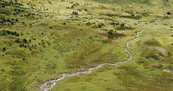 photo of How the environmental movement lost its power image