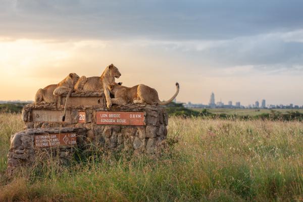 Conservationists got delayed access to…