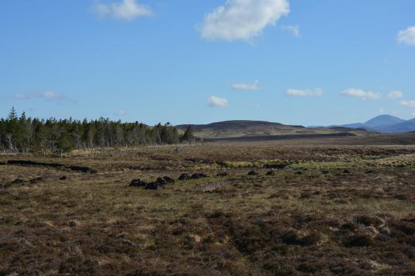 photo of New research shows soil microorganisms could produce additional greenhouse gas emissions from thawing permafrost image