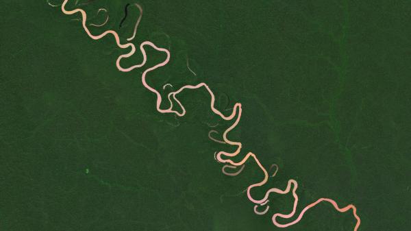 How underinvesting in information&hellip;