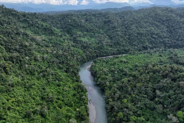 On World Rainforest Day, stories of…