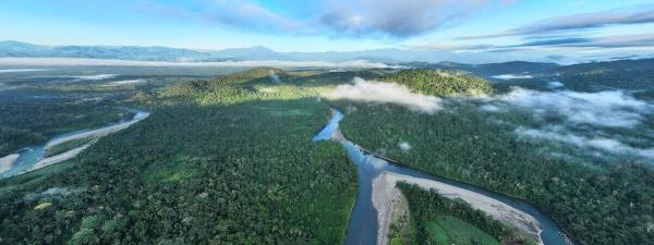 Peru considers stripping protections for…