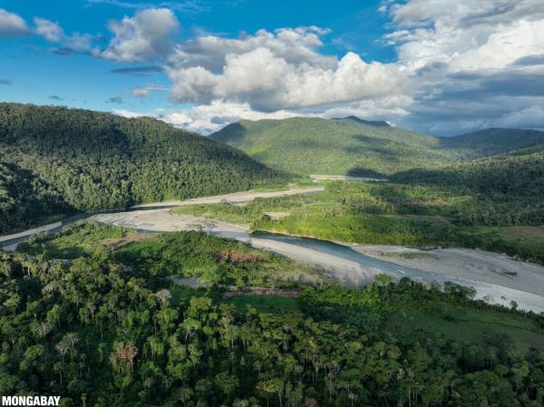 The Ideas Shaping Environmental Action