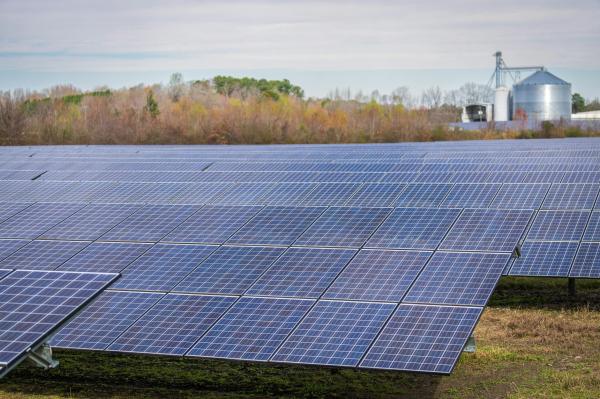 A $900M Texas solar mega-farm will power…