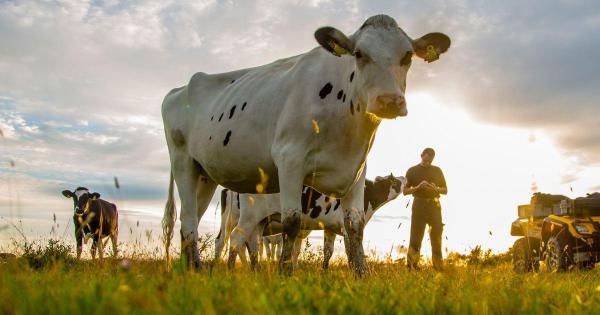 Dairy giant Arla’s climate 'fairytale'