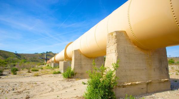 Local Groups & Sierra Club Challenge&hellip;