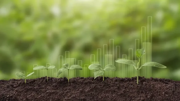 Plants can’t absorb as much CO2 as&hellip;