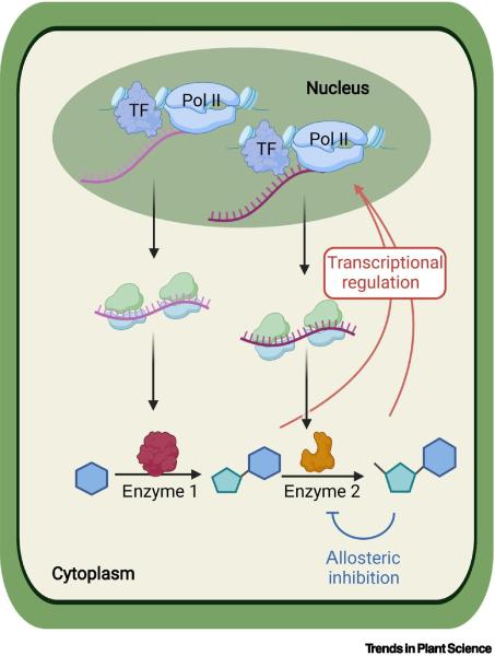 photo of Plant metabolism proves more complicated than previously understood image