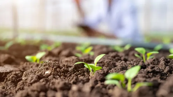 New soil test could reveal how soil…
